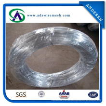Professional Produce Electro/Hot-Dipped Galvanzied Iron Wire
